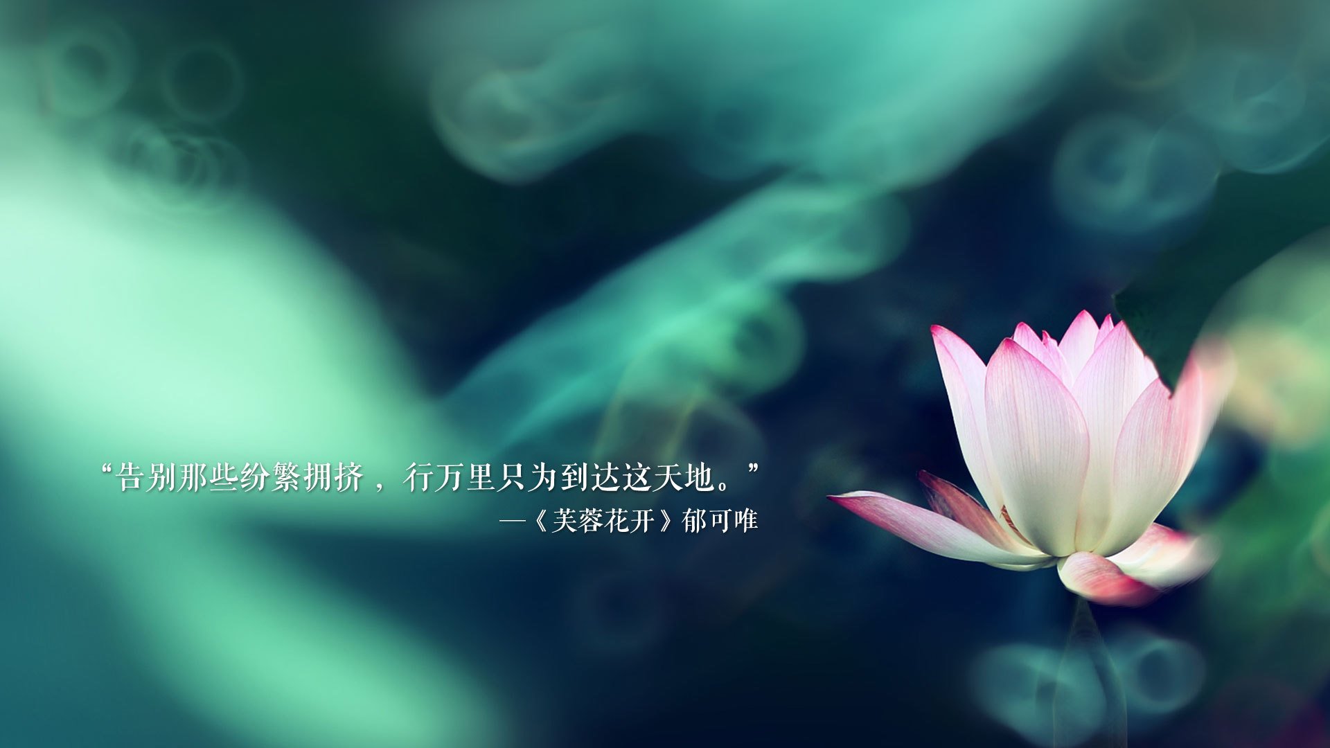 卡拉斯科存在感拉满!拉齐奥对阵贝蒂斯,他如何成为全场唯一焦点?